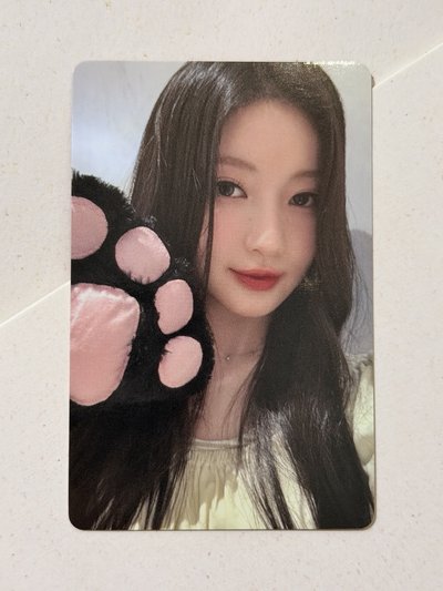 Asa🐰