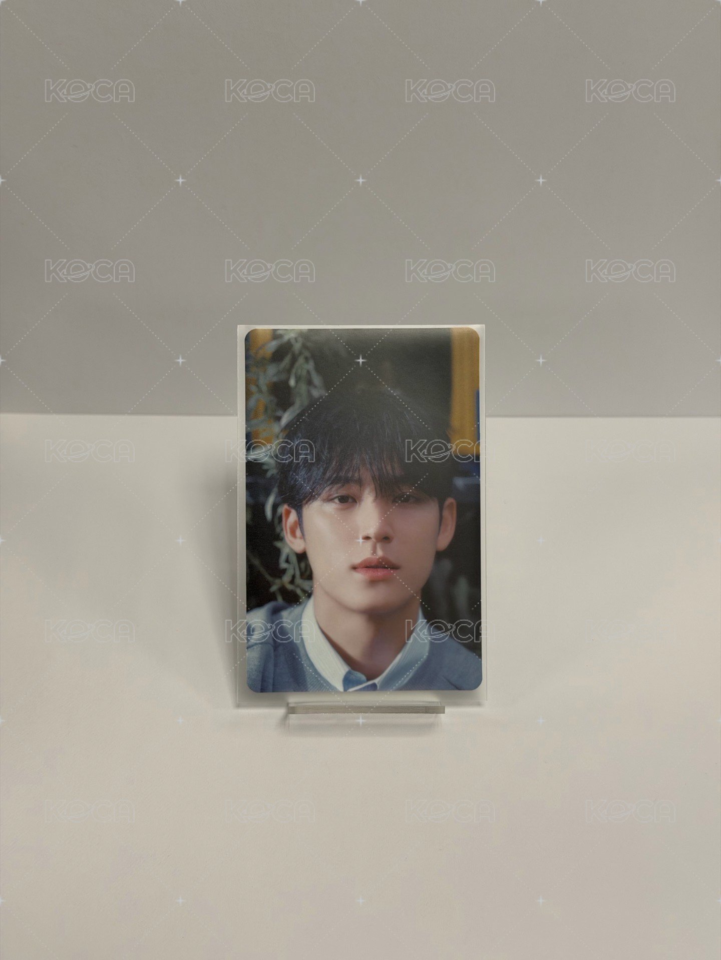 消費期限 專輯卡 B盤.