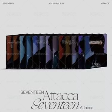 seventeen 迷你9克拉盤（可選成員）