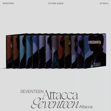 seventeen 迷你9克拉盤（可選成員）