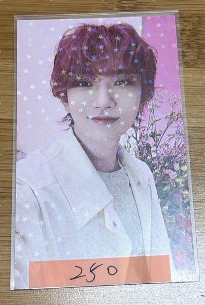 樹莓秀環球特典