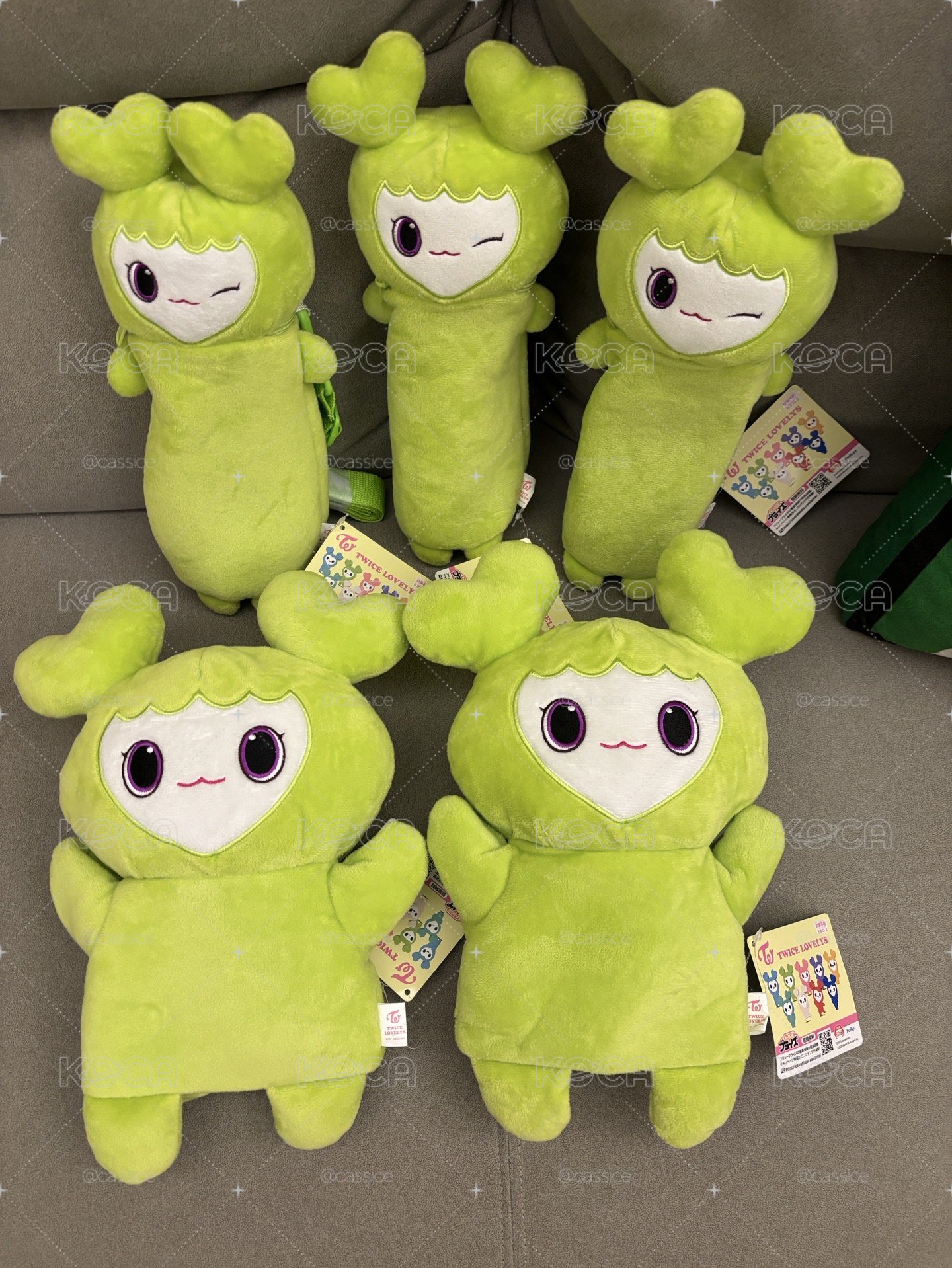 定延gigo娃