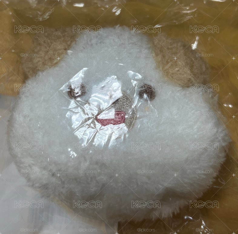 🐶後背包娃