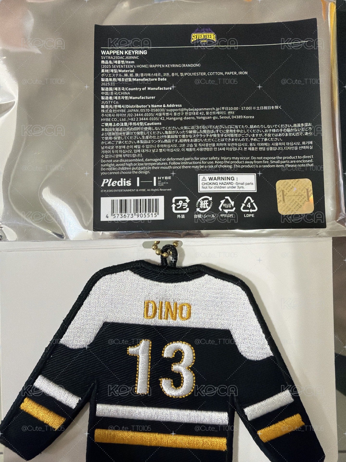 SVT 2025Home周邊 DINO