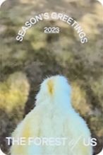 2023年曆 Bizent 預購 特典卡  背面