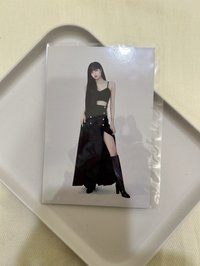 正規一莎明信片