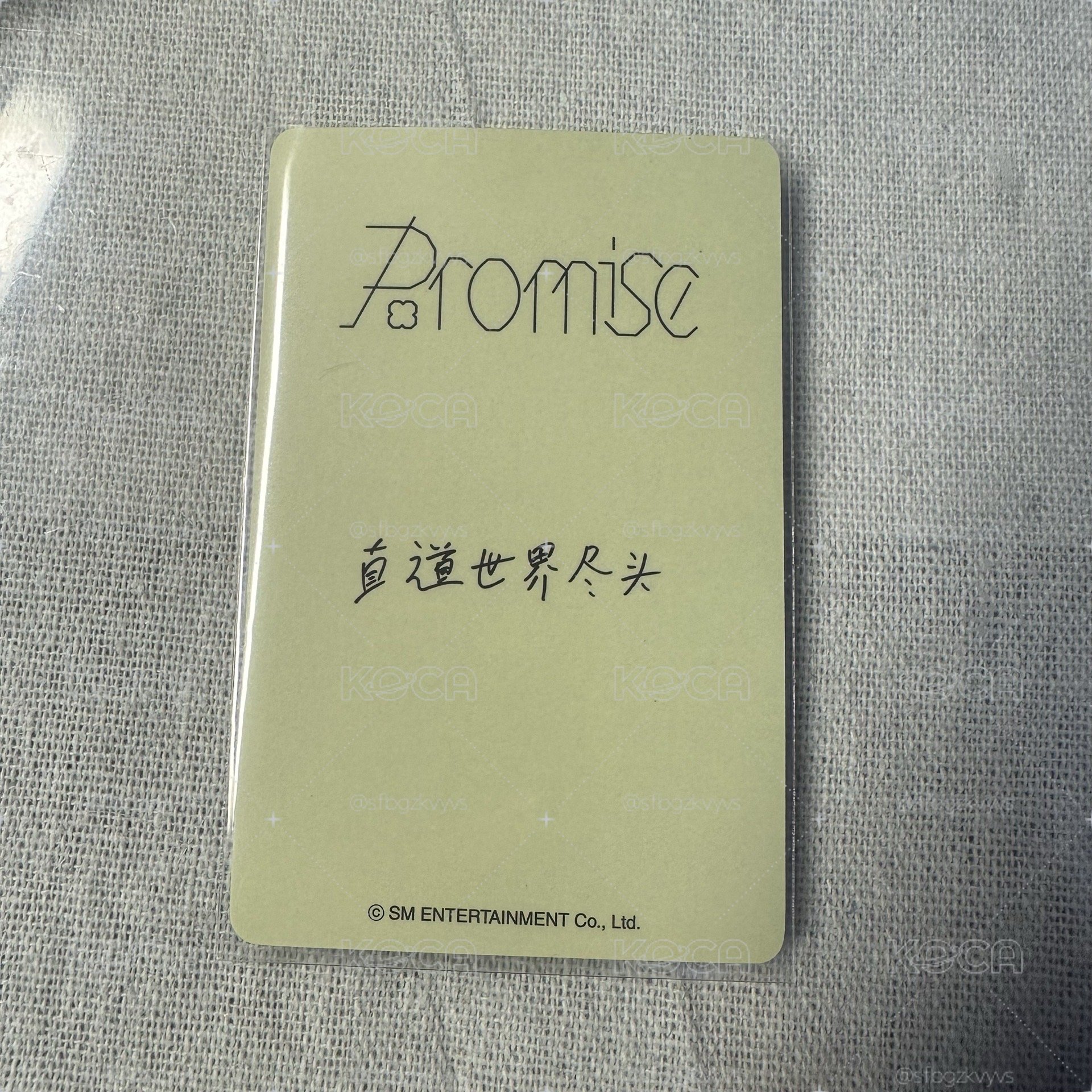 金道英中文卡背 直道世界盡頭