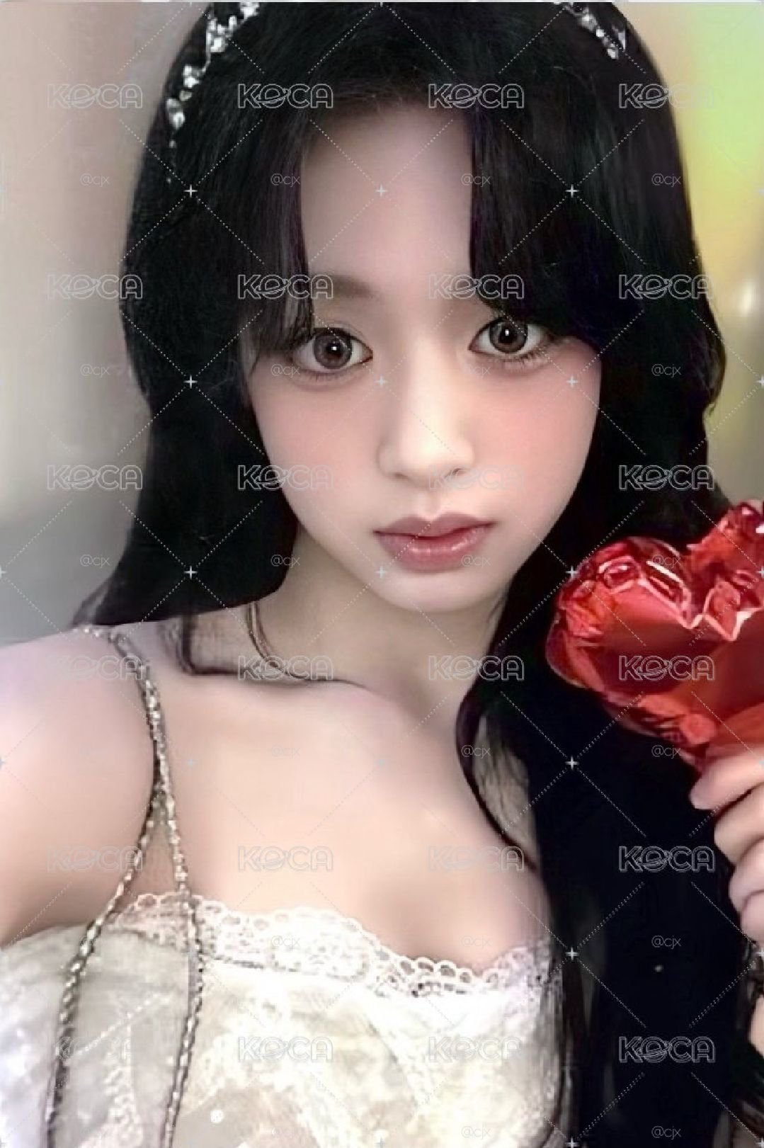 公主賢