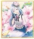 Anniversary/Birthday 色紙 