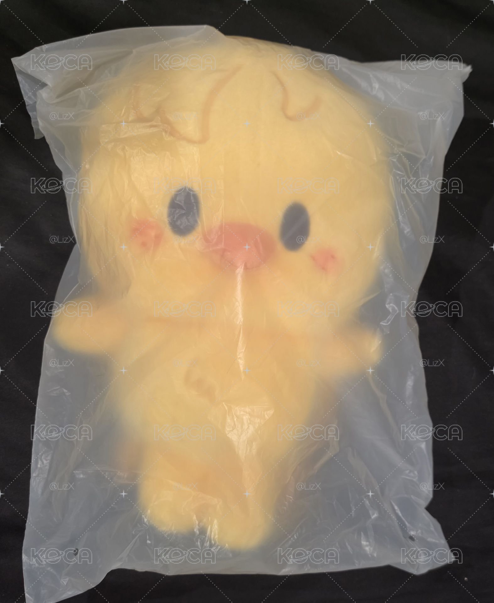 菲FM後背包 含背包卡 現貨