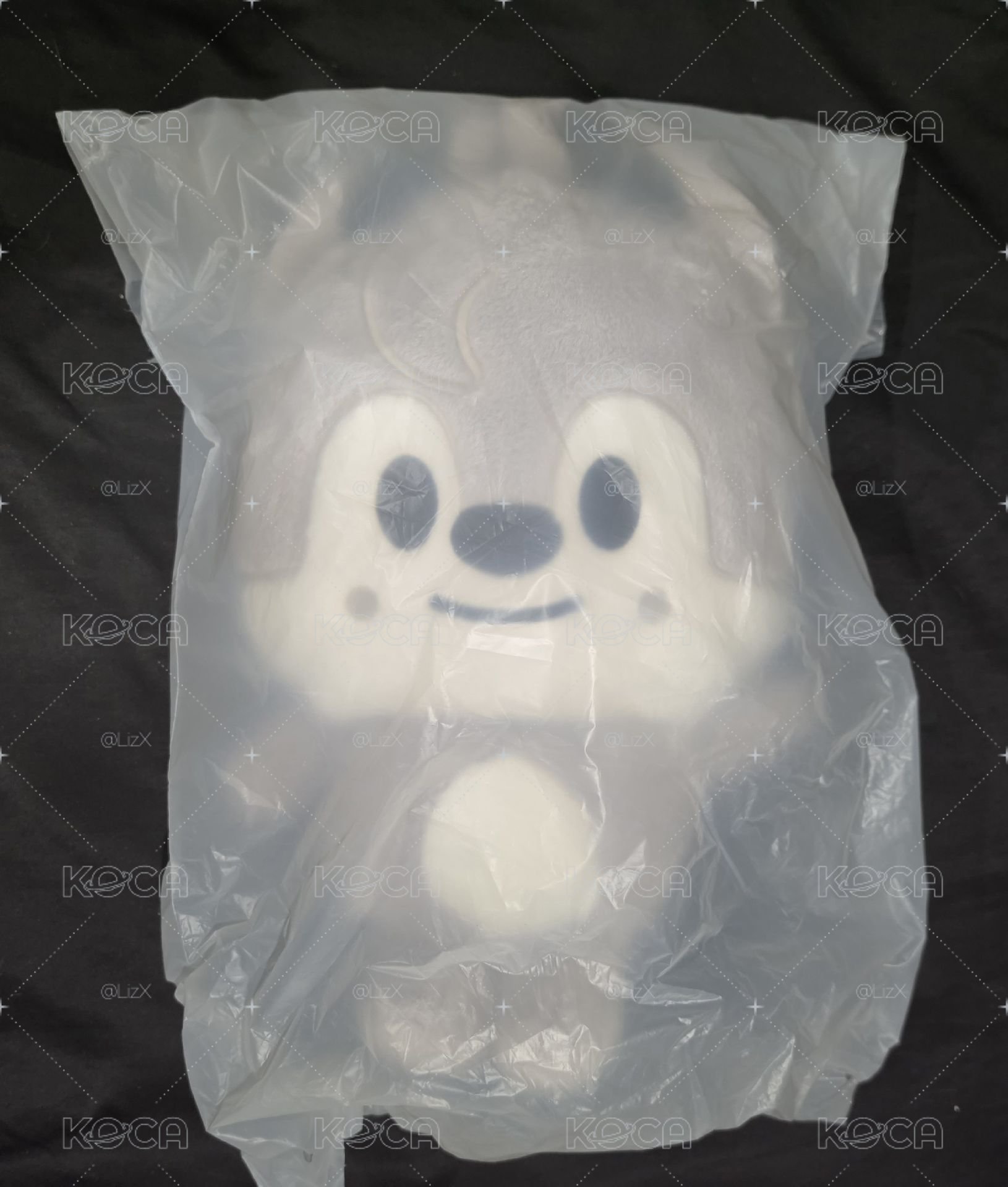 燦FM後背包 含背包卡 現貨