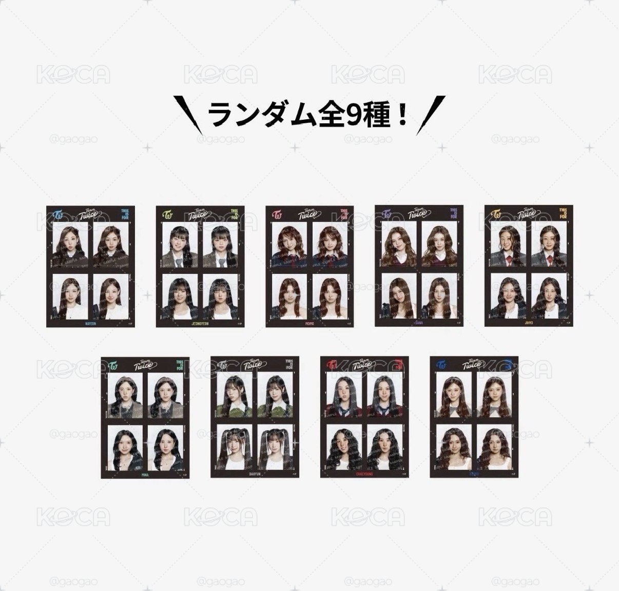 TWICW 新國立 證件照貼紙 現貨