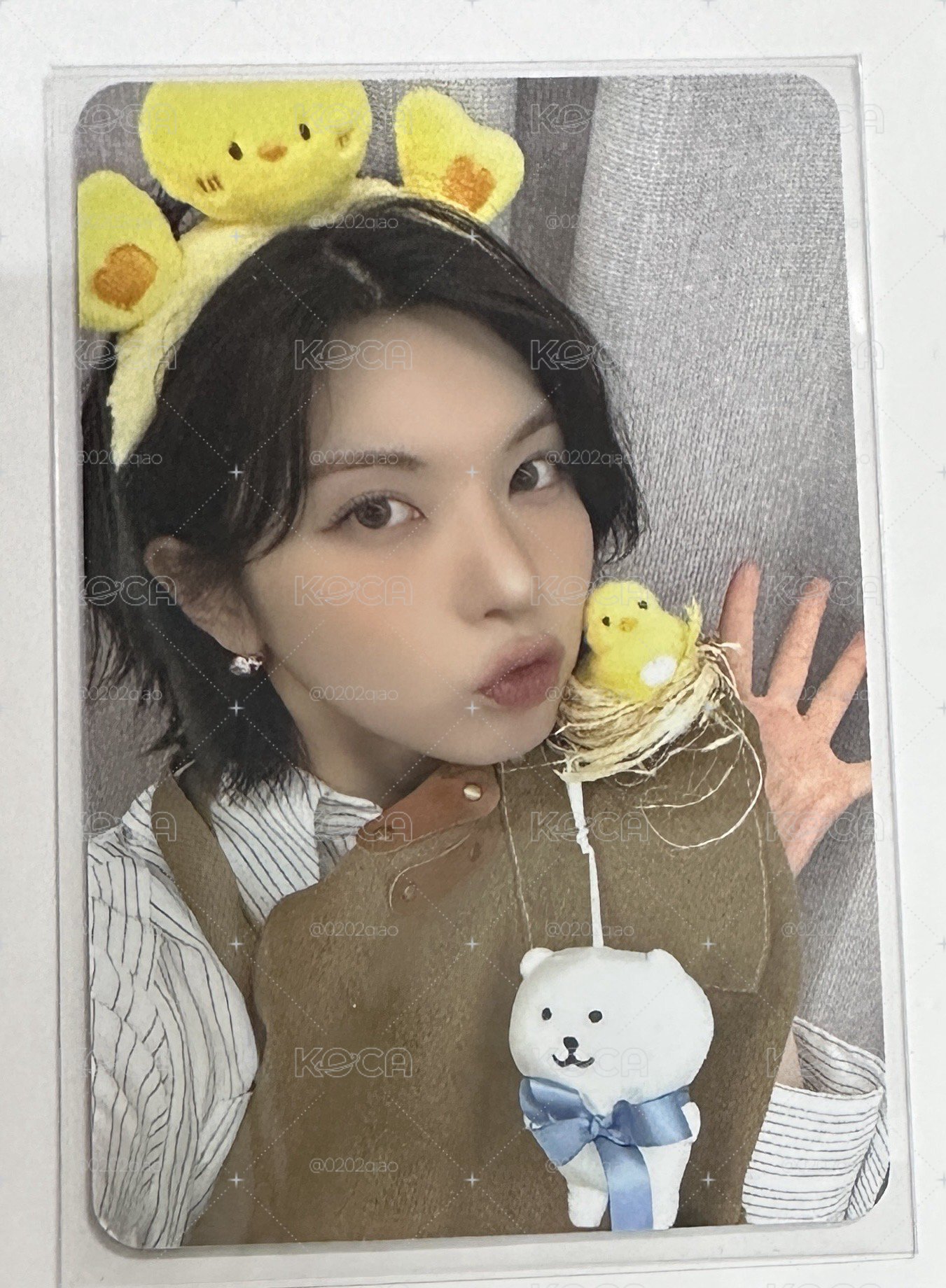 ⭐️動物塑裴