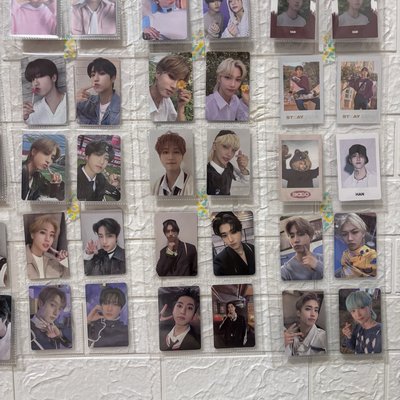 straykids 韓知城 李龍馥 退坑