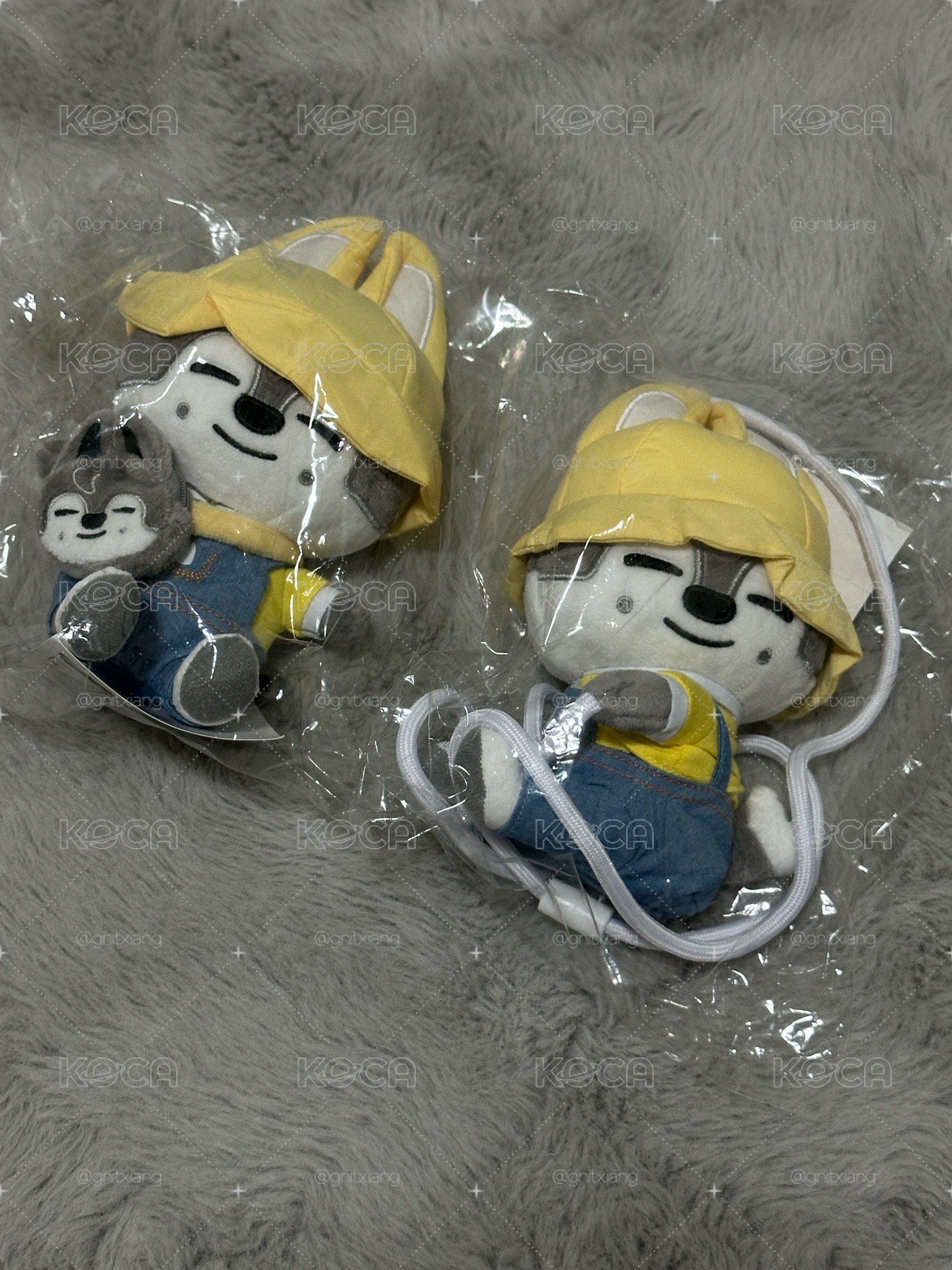 幼稚園娃盤