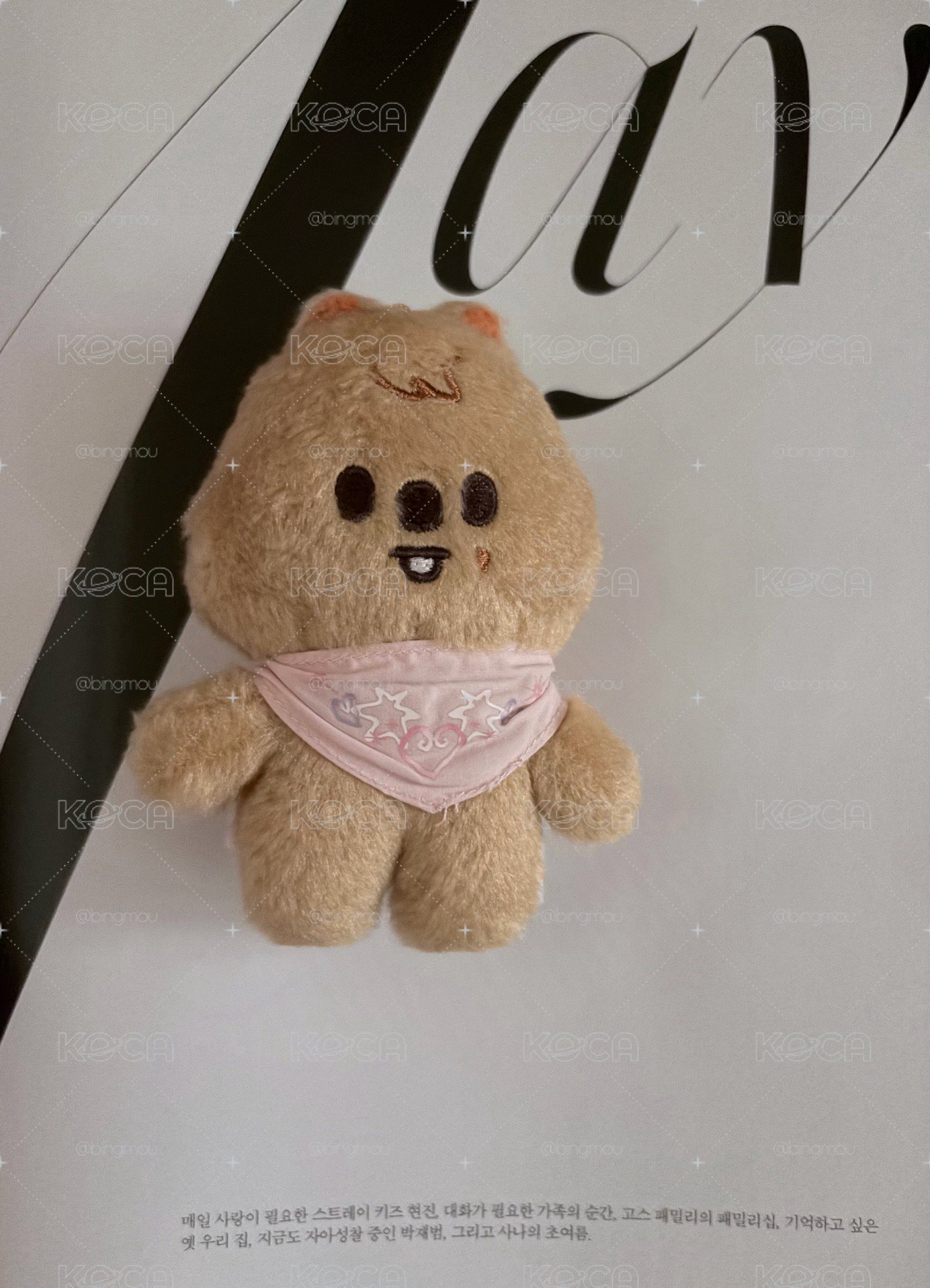 城口水巾娃