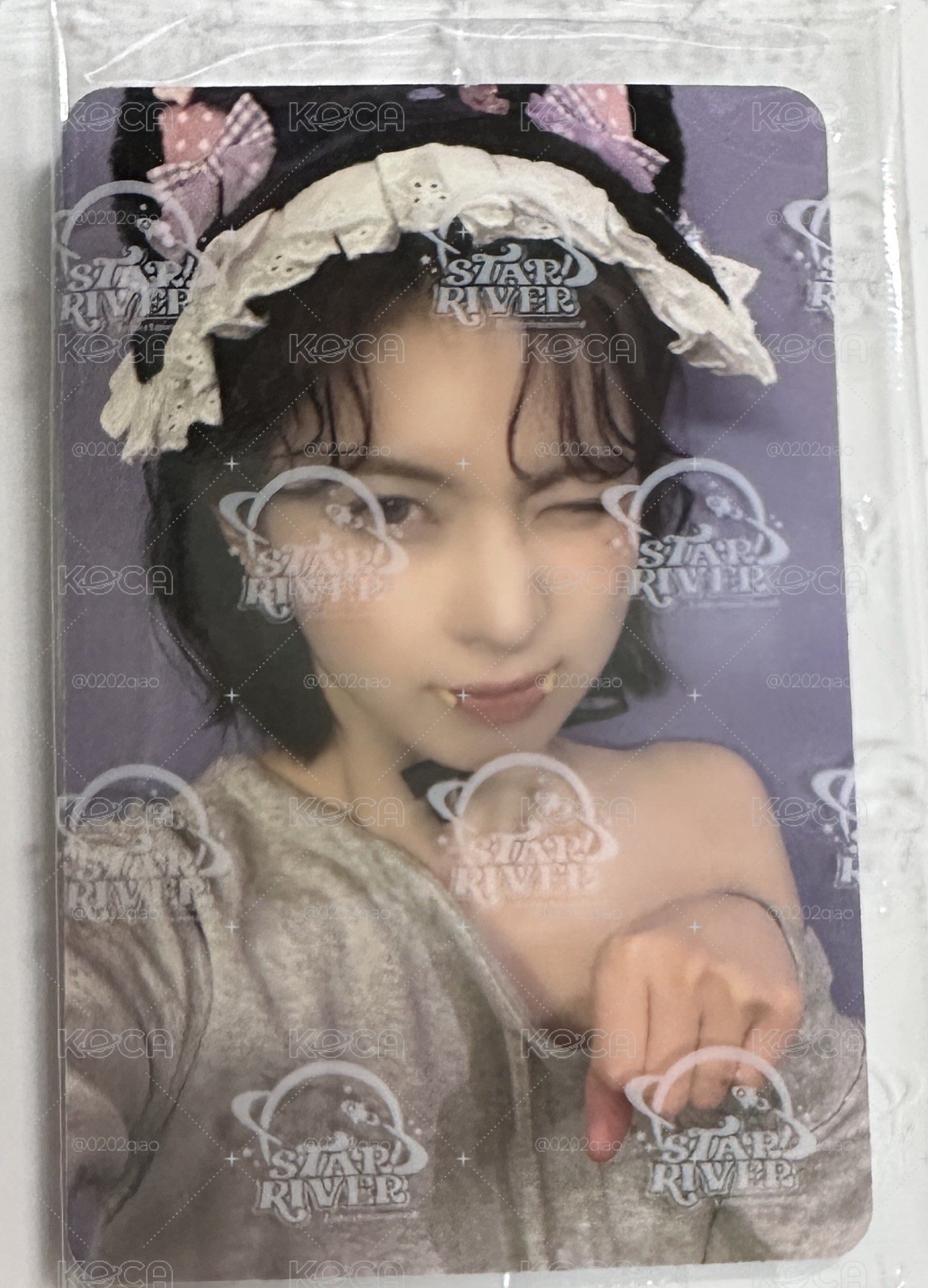 吸血鬼貓裴