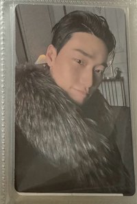 撇嘴傘(多處損）