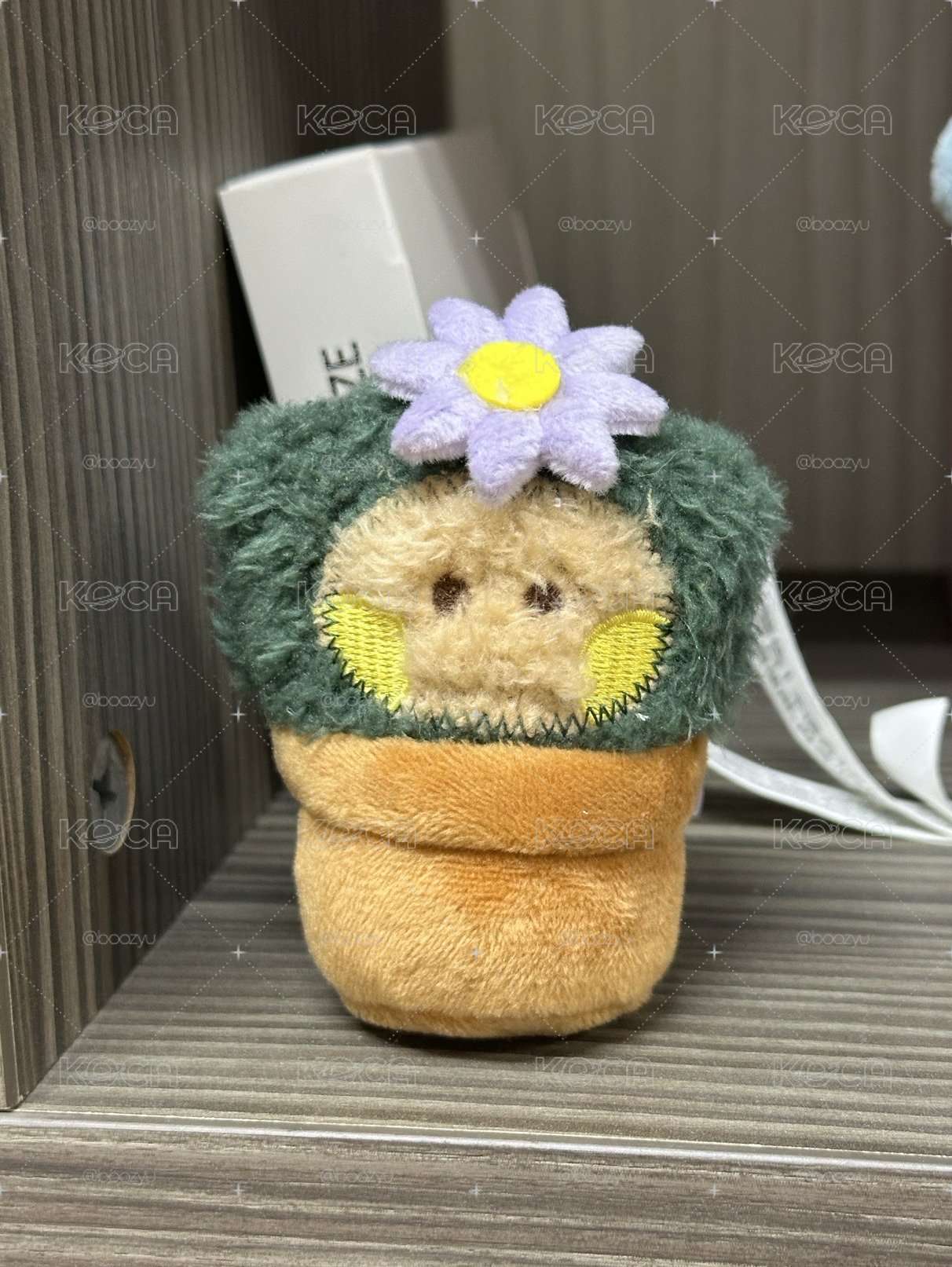 盆栽SHOOKY