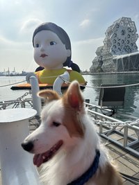 王小熊