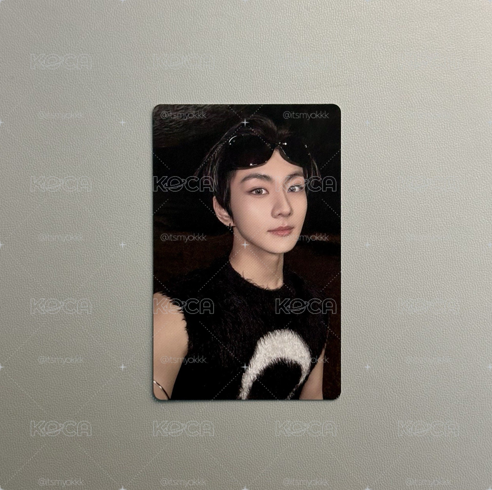禎元 正二 藍版專輯卡