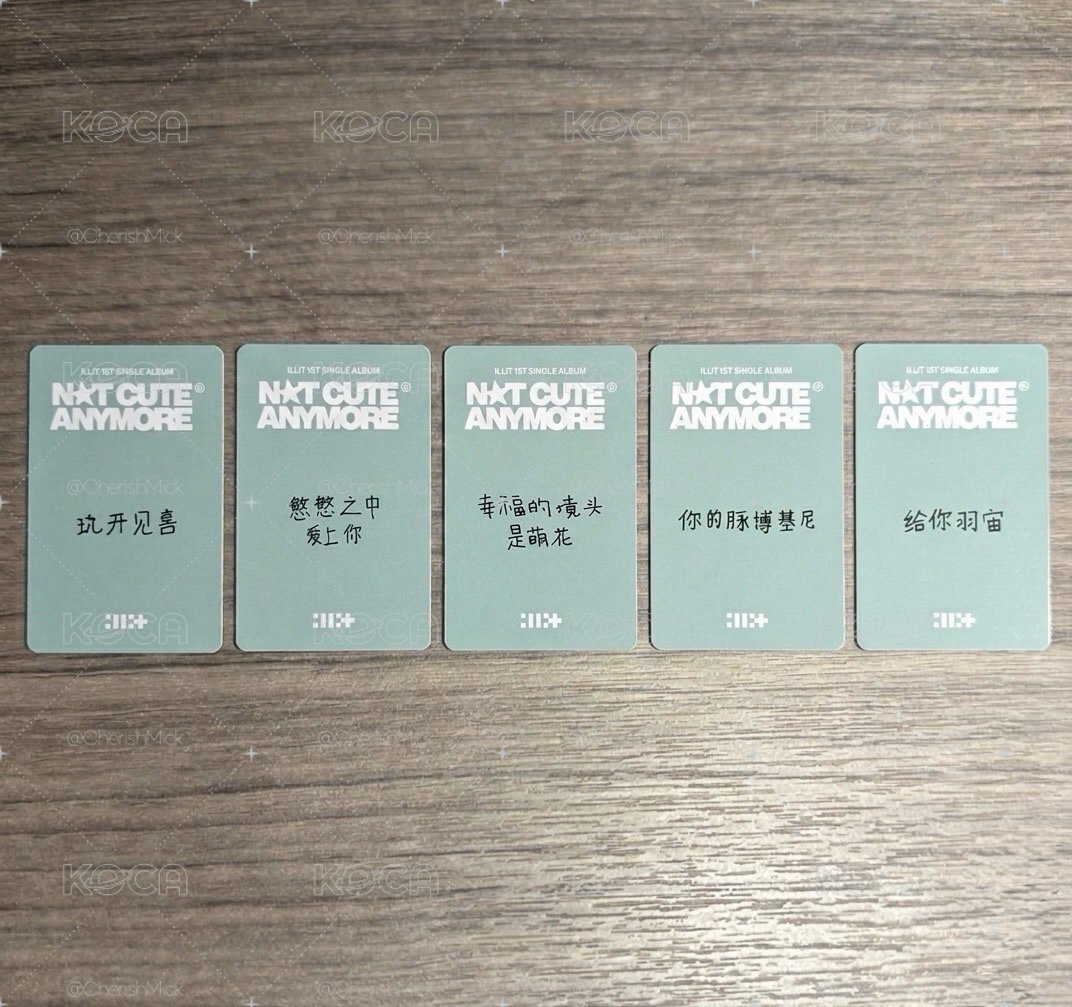 單曲一輯 yzy5.0線上簽售 中背