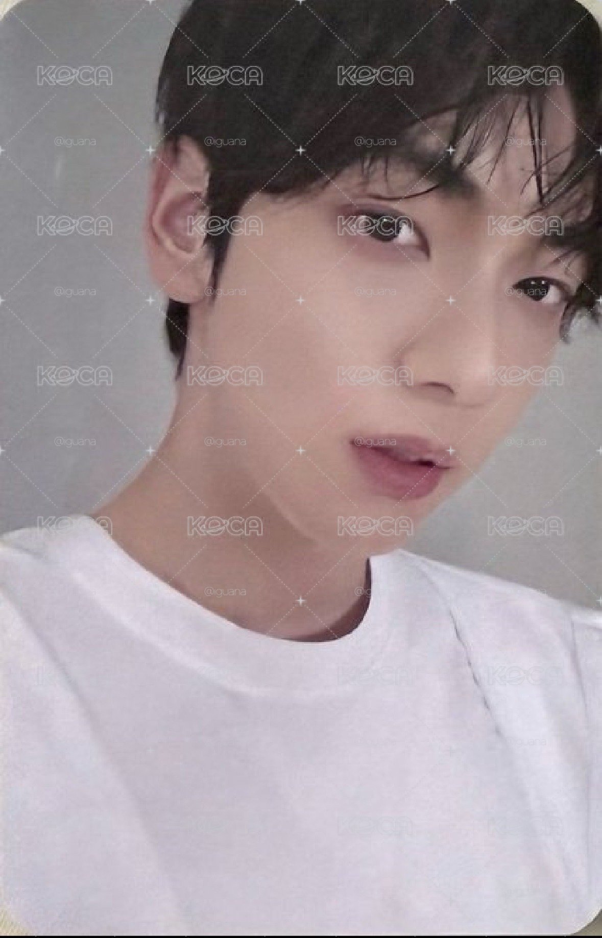 彬數星星中背