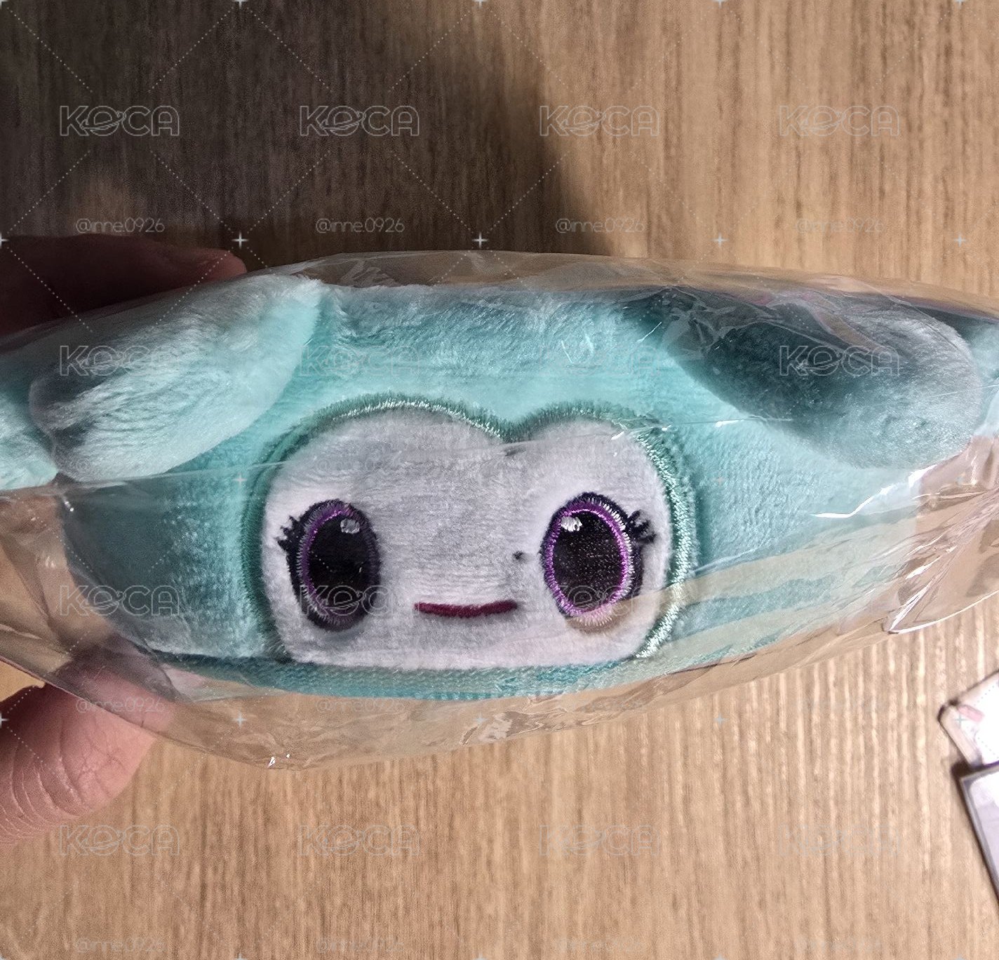 Mina手燈套（當日出貨