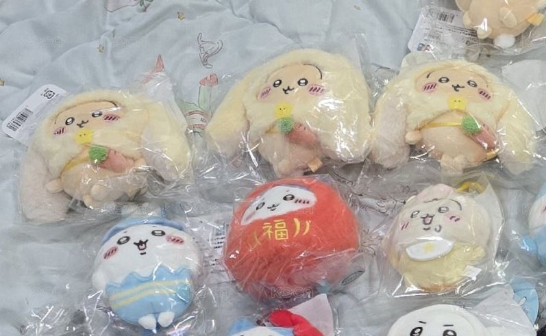 台北限定垂耳烏薩奇