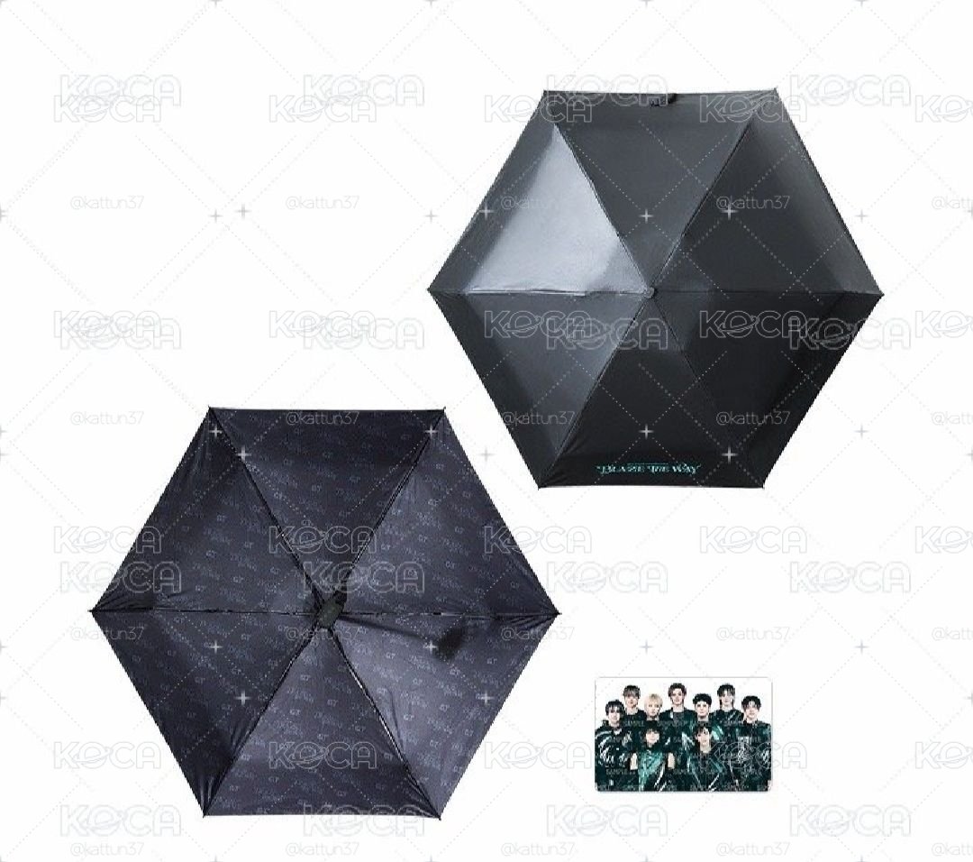 &TEAM 日巡週邊 雨傘 現貨