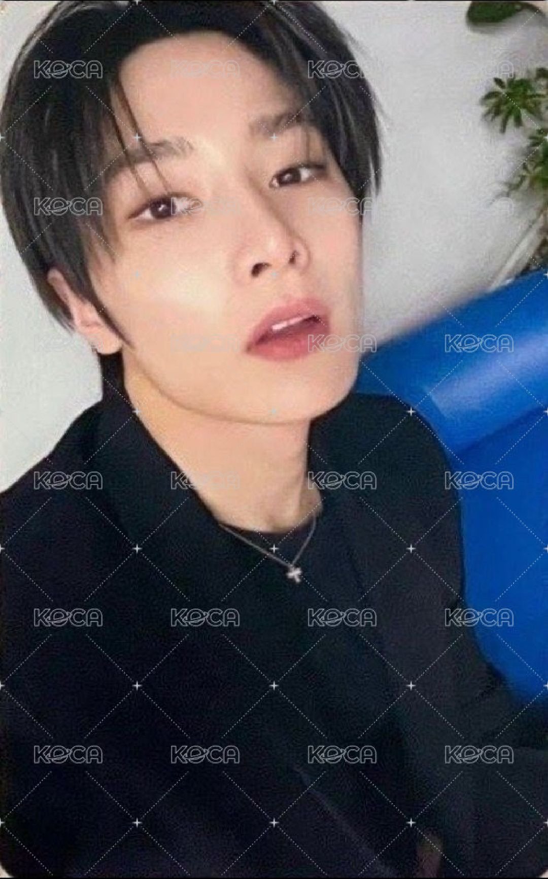 DO IT kms 特典卡寅