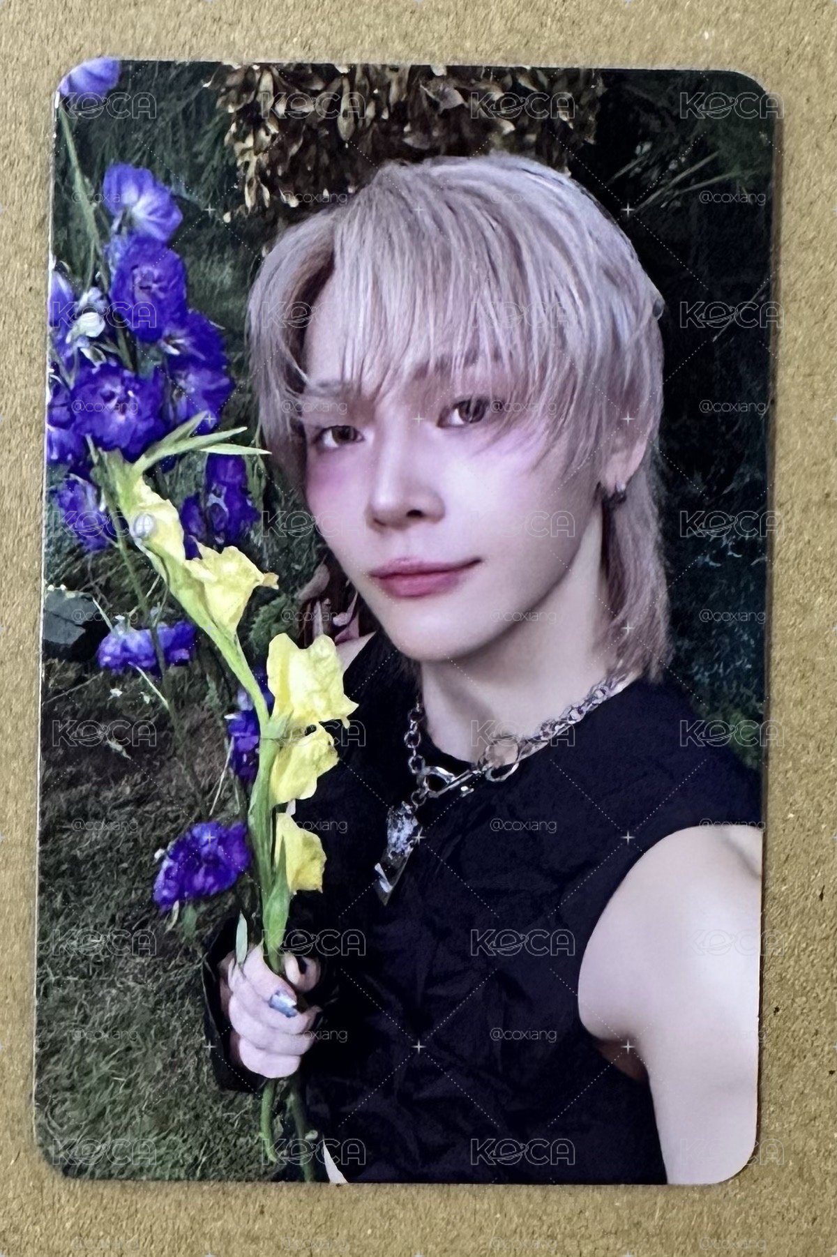 BTL 精靈拿花尼扣