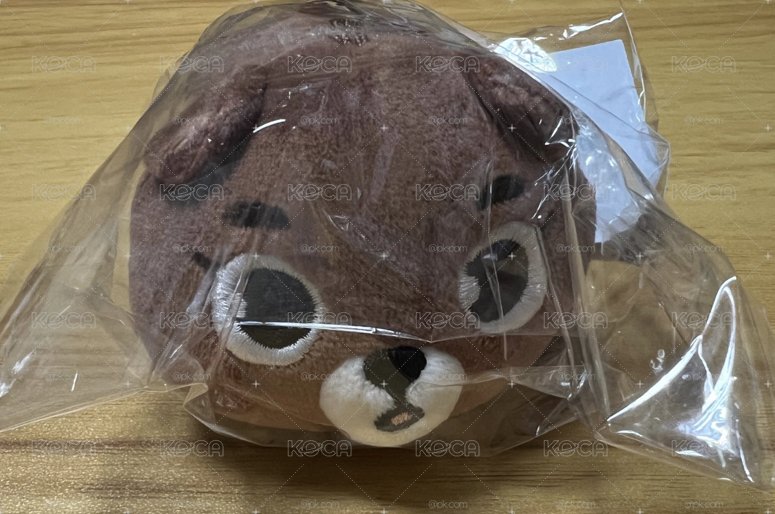 🐻趴娃