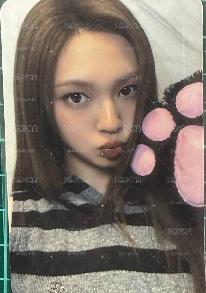 寶怪小卡