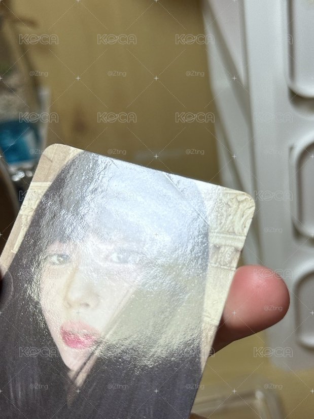 【送】正面損千金吉