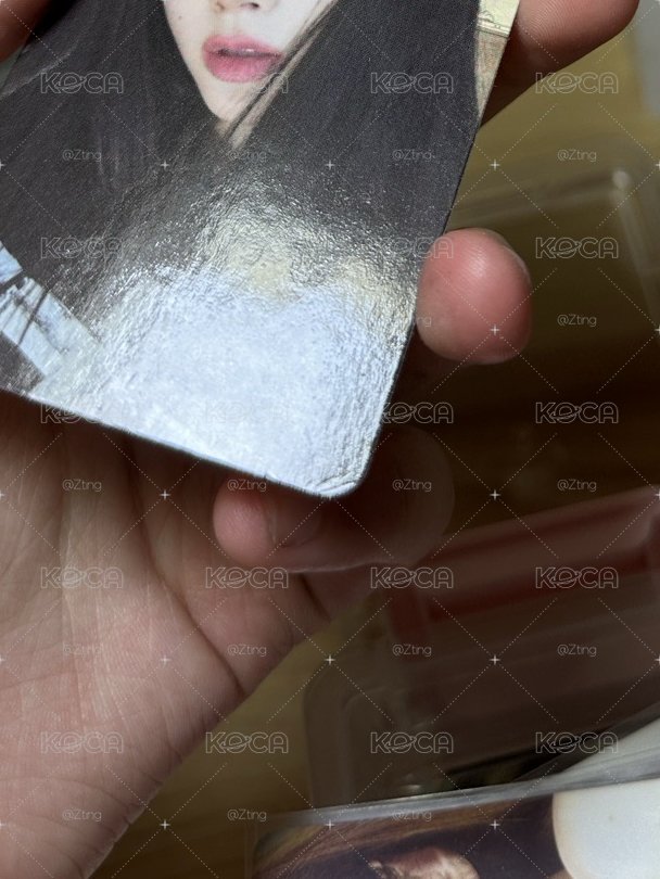 【送】正面損千金吉