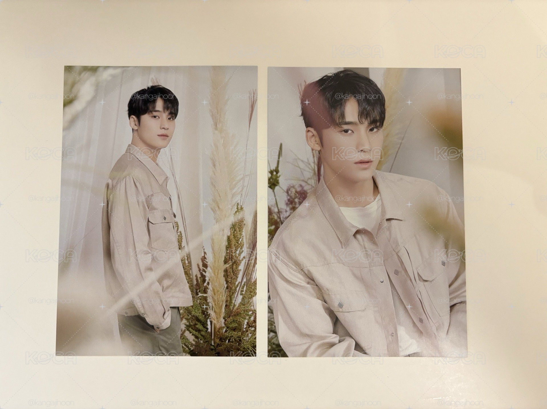 Mingyu 馬鈴薯 大出清