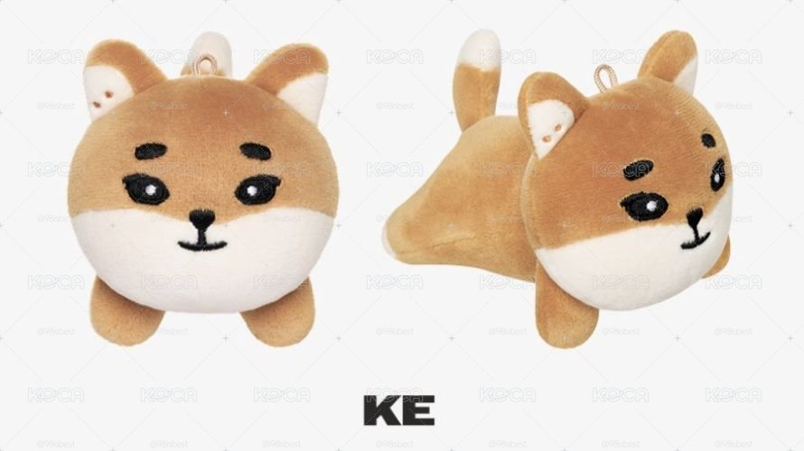 🦊趴娃