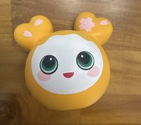 志效壓力球