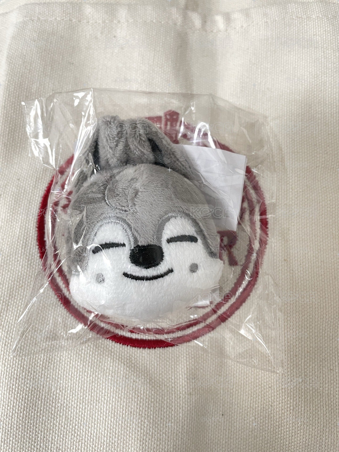 skzoo冰箱貼燦