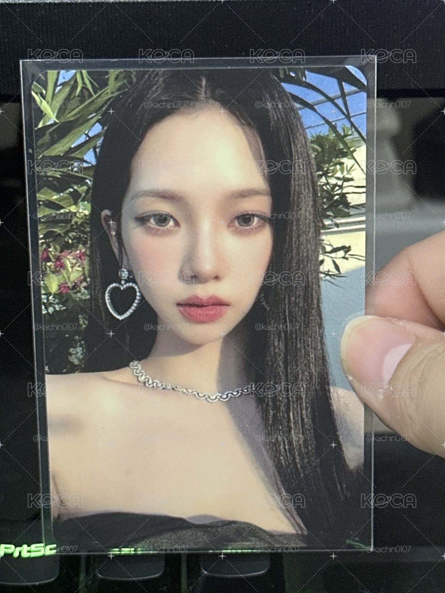 很美的柚