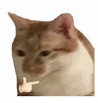 wen