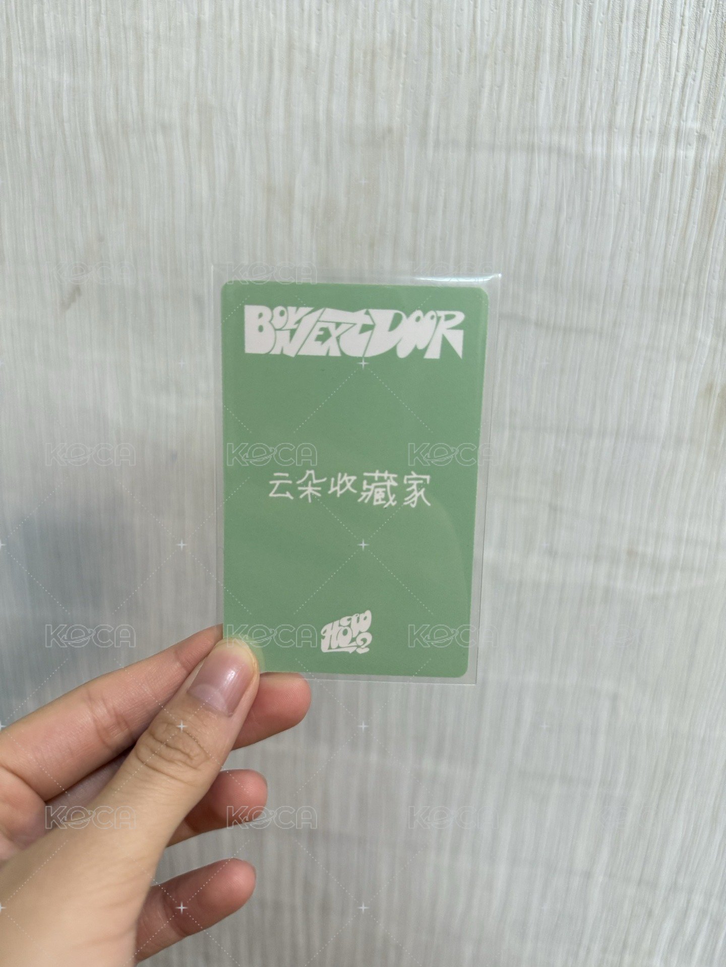 6中文卡背