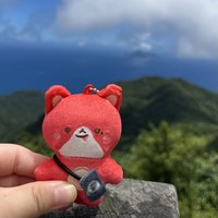 噗噗