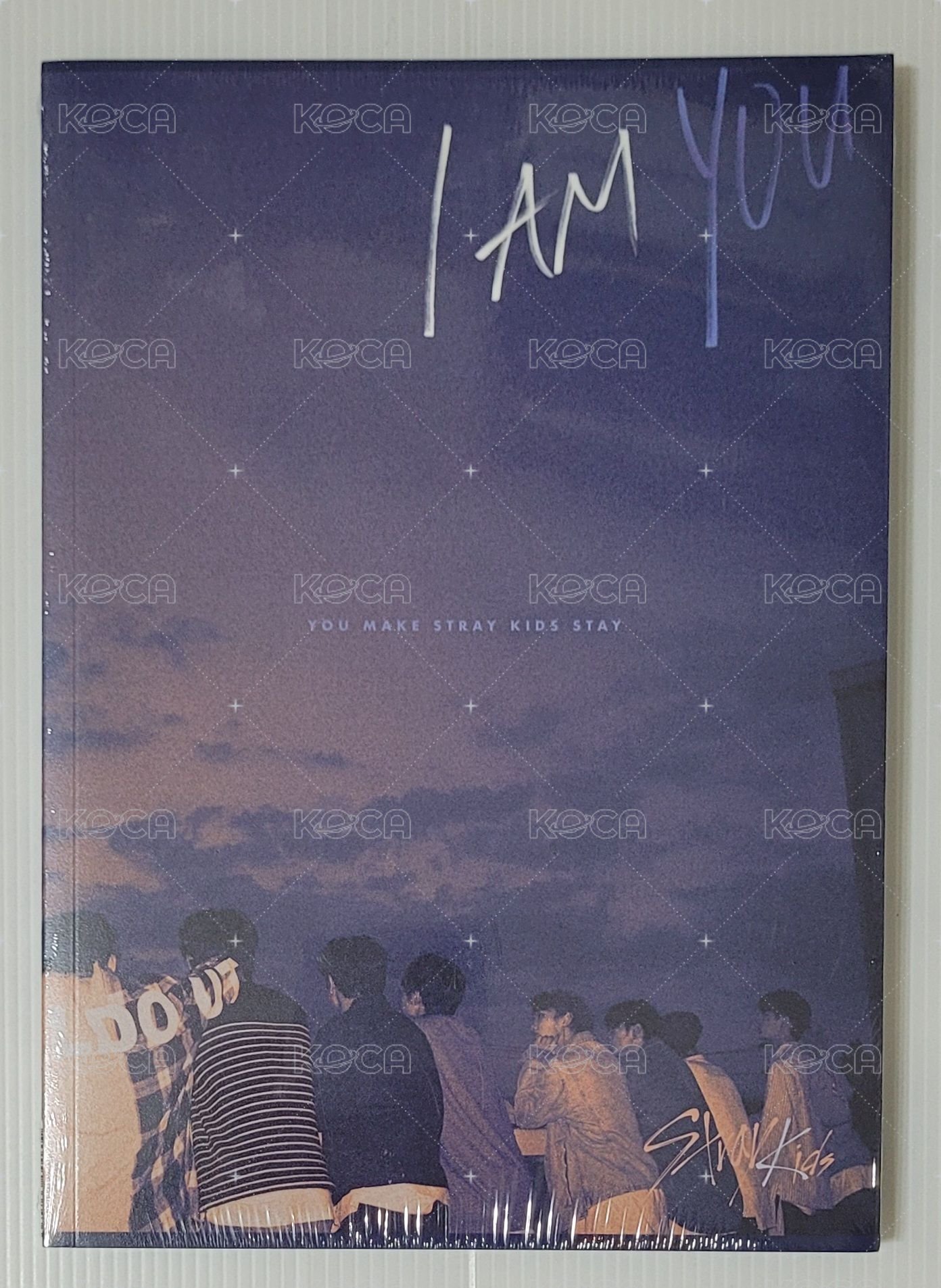 I am YOU