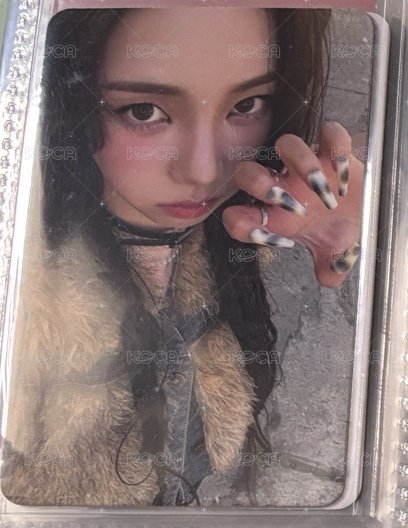 貓爪柚