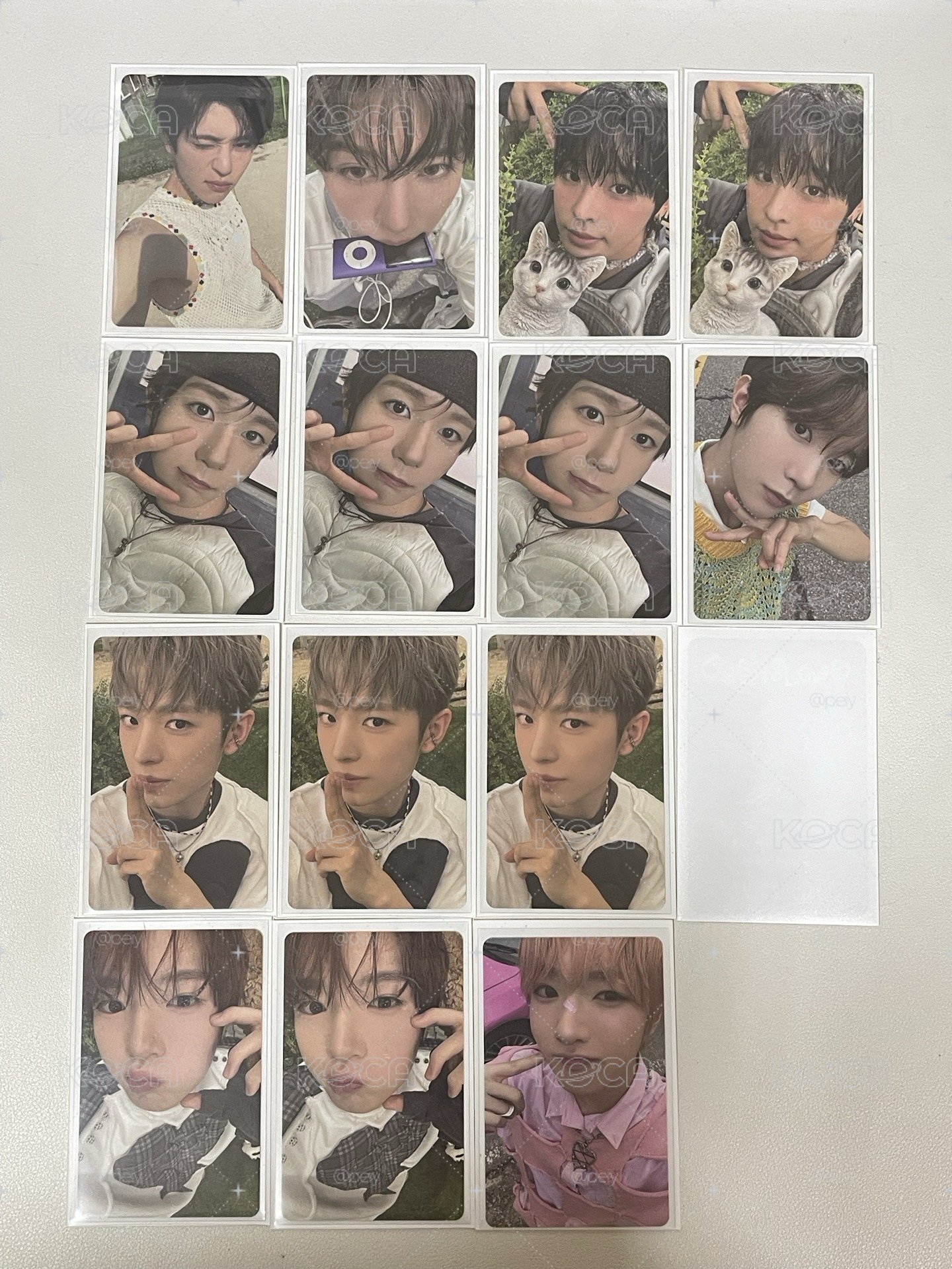 NCT wish color 專卡