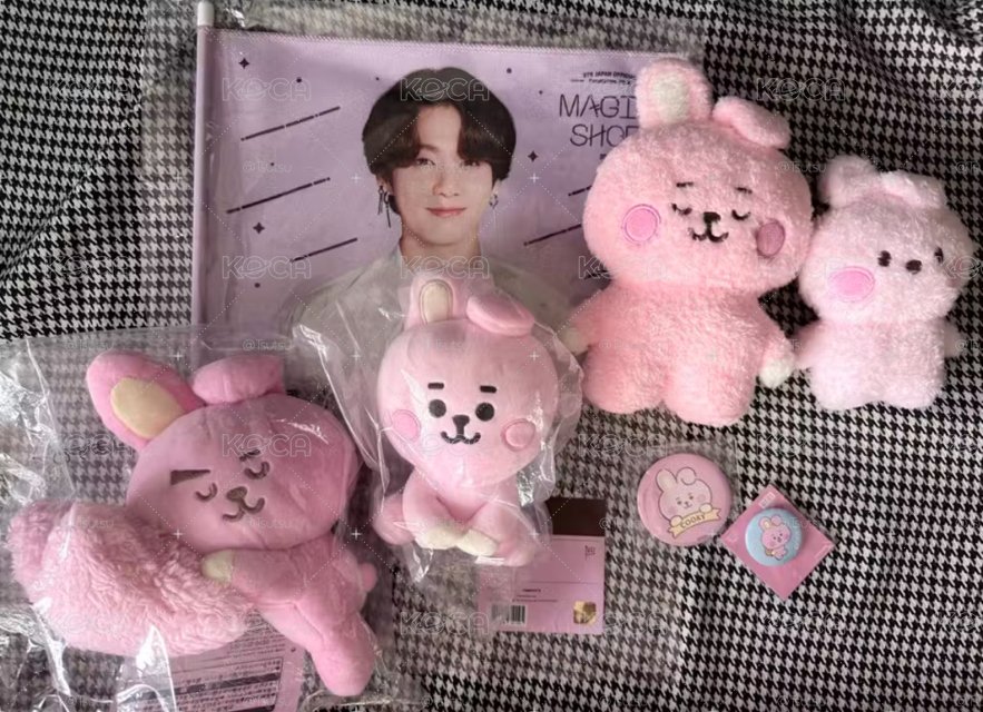 （現貨整圖出 可當日寄出）BTS JUNGKOOK 田柾國 cooks bt21 娃娃 小旗子 徽章 一番賞
