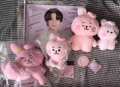 （現貨整圖出 可當日寄出）BTS JUNGKOOK 田柾國 cooks bt21 娃娃 小旗子 徽章 一番賞