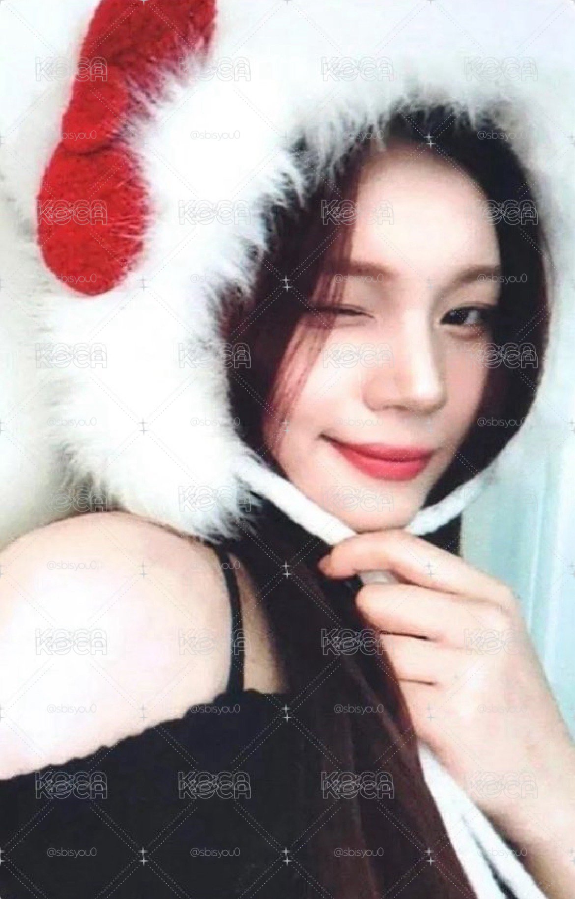 Kitty智🐱